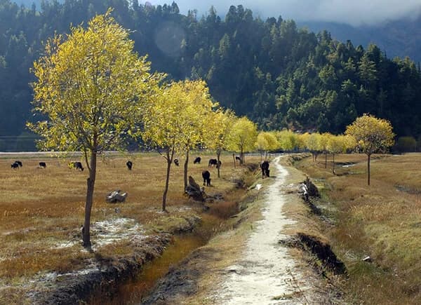 Ten Essentials for an Adventure Trip to Nepal