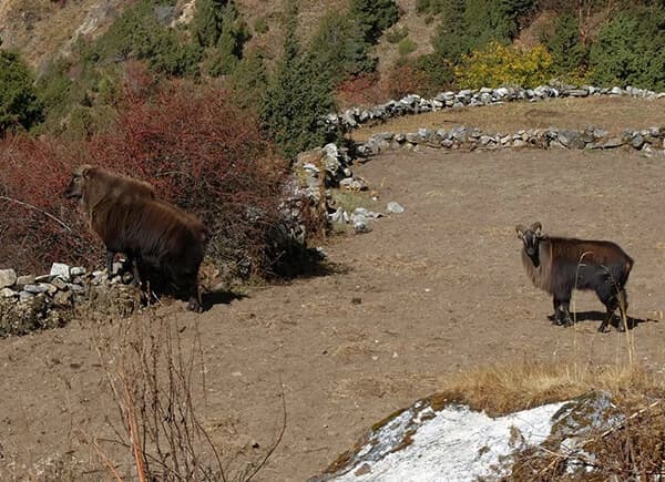 10 Things to do Before Escape Holidays