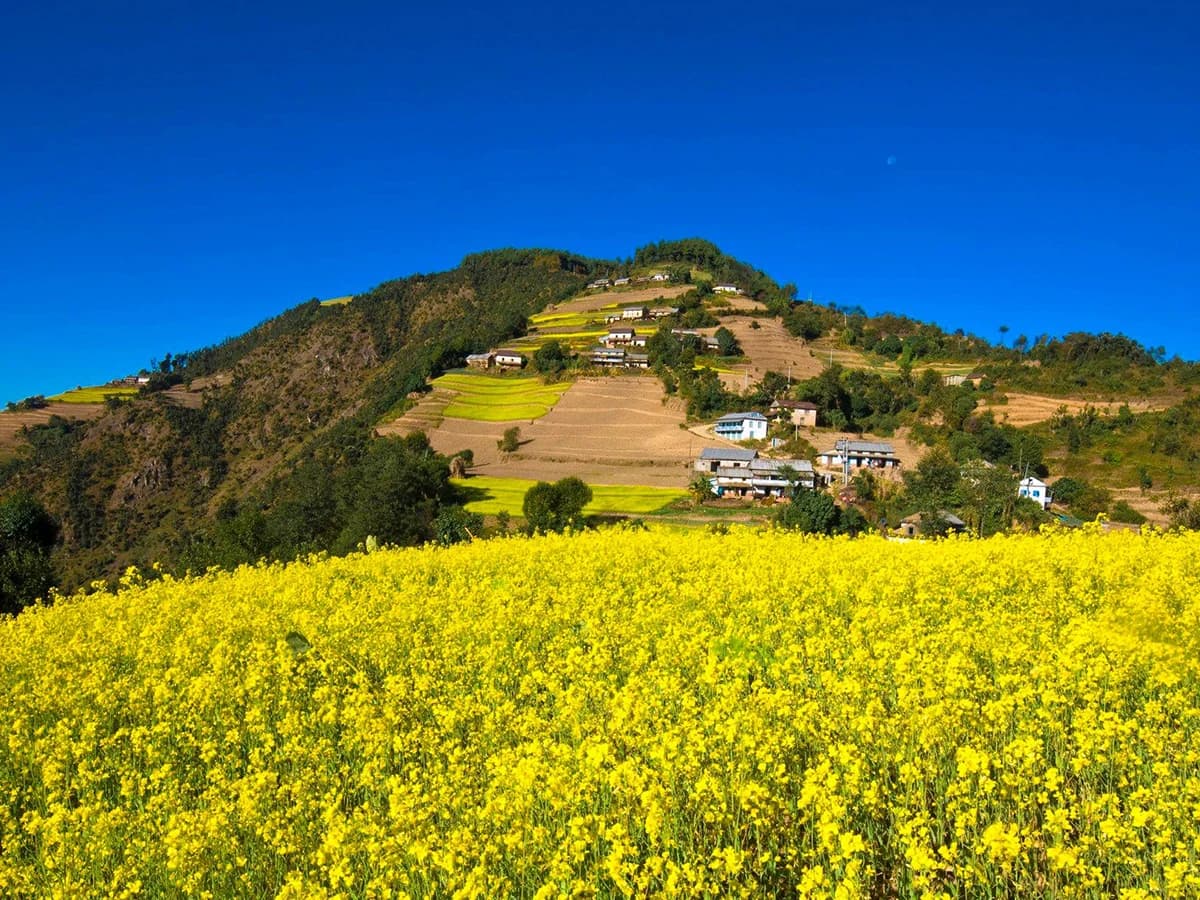 Nagarkot Chisapani Trek - 7 Days