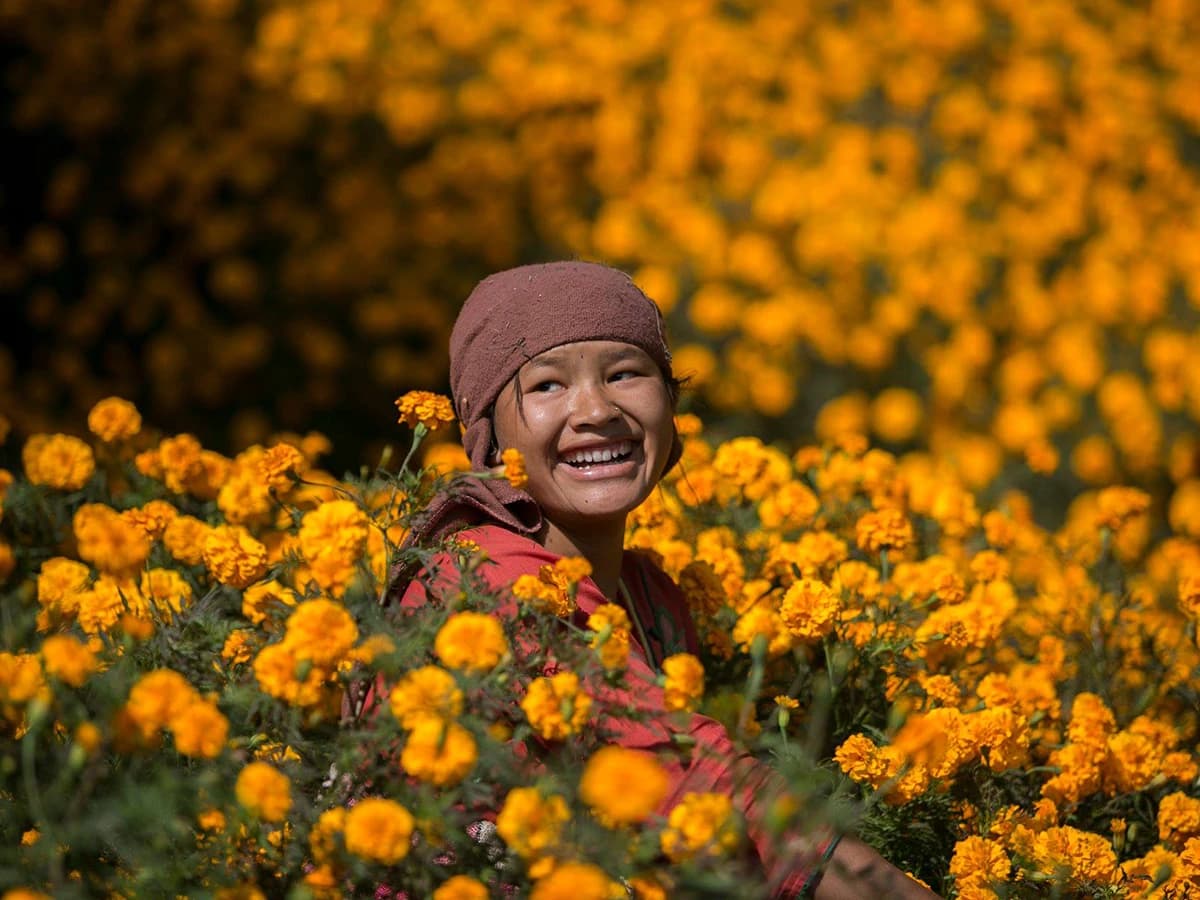 Nagarkot Chisapani Trek - 7 Days