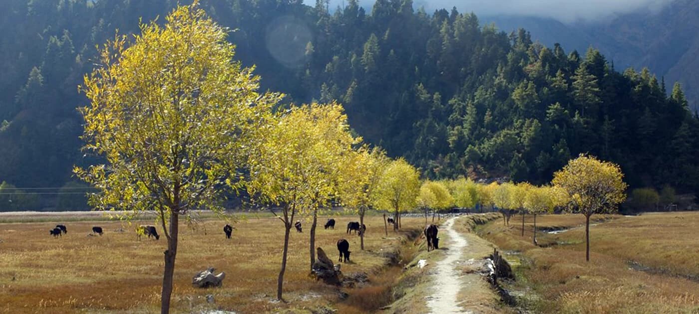 Ten Essentials for an Adventure Trip to Nepal