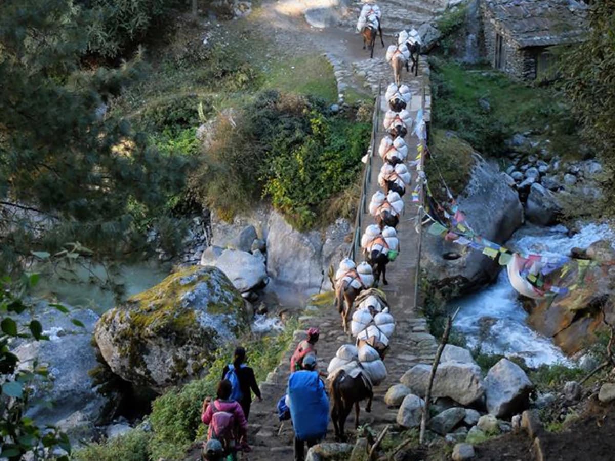 Mera Peak Climbing - 19 Days