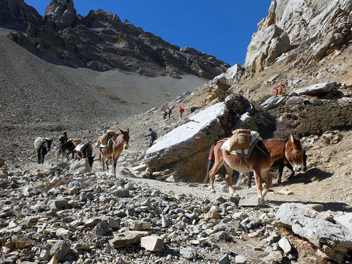 Annapurna Base Camp Trek - 14 Days