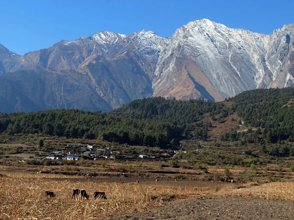 Annapurna Base Camp Trek - 14 Days