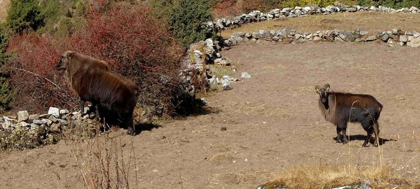 10 Things to do Before Escape Holidays