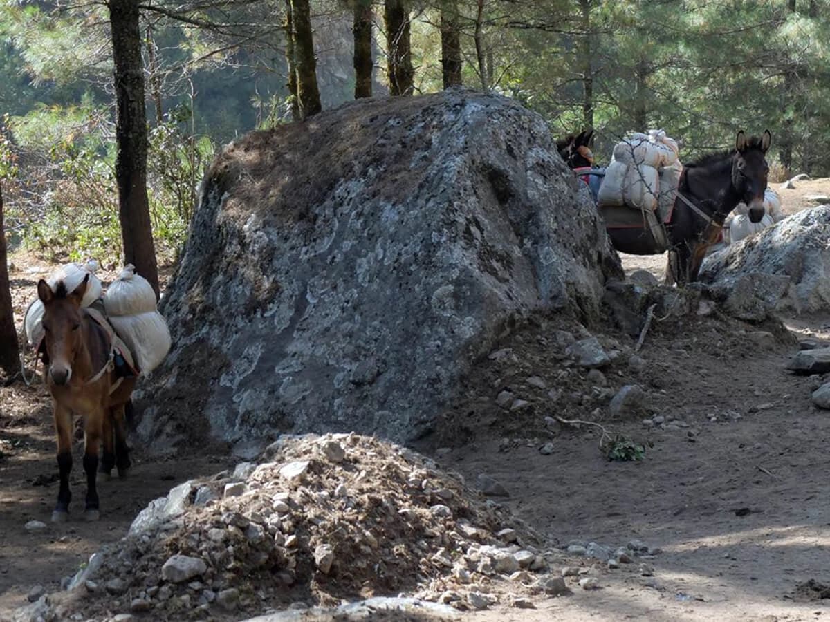 Gokyo to Everest Base Camp Trek Via Cho La Pass - 16 Days